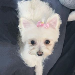 Meet your Posher, Ciara